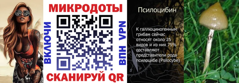 OMG tor  Екатеринбург  Псилоцибиновые грибы Cubensis 