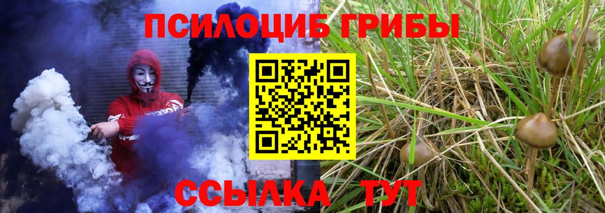 Екатеринбург  Галлюциногенные грибы MAGIC MUSHROOMS  Вход с VPN  как найти наркотики  Псилоцибиновые грибы Psilocybine cubensis 