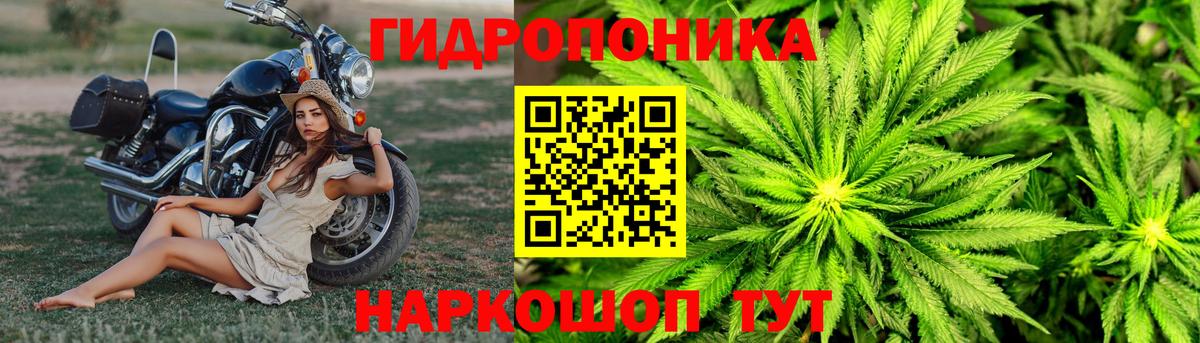 Канабис MAZAR  Марихуана марихуана  Екатеринбург  Шишки марихуана Ganja 